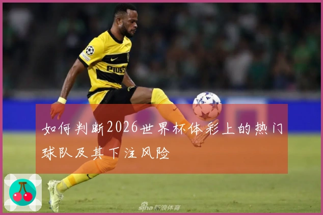 如何判断2026世界杯体彩上的热门球队及其下注风险