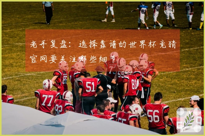 老手复盘：选择靠谱的世界杯竞猜官网要关注哪些细节