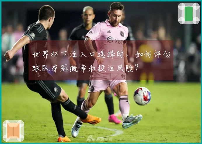 世界杯下注入口选择时，如何评估球队夺冠概率和投注风险？