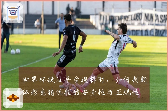 世界杯投注平台选择时，如何判断体彩竞猜流程的安全性与正规性