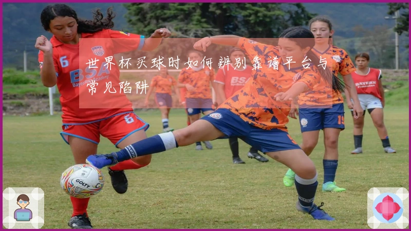 世界杯买球时如何辨别靠谱平台与常见陷阱