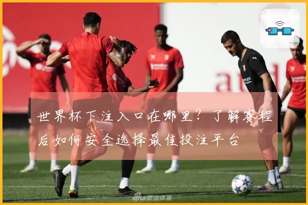 世界杯下注入口在哪里?了解赛程后如何安全选择最佳投注平台