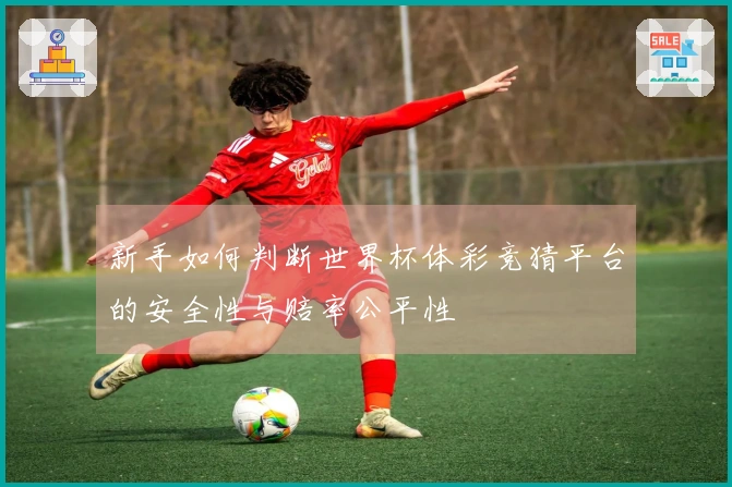 新手如何判断世界杯体彩竞猜平台的安全性与赔率公平性
