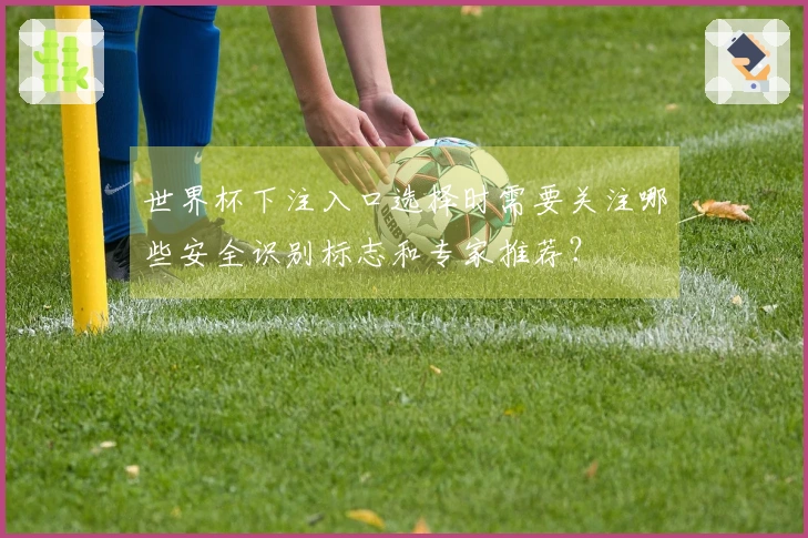 世界杯下注入口选择时需要关注哪些安全识别标志和专家推荐？