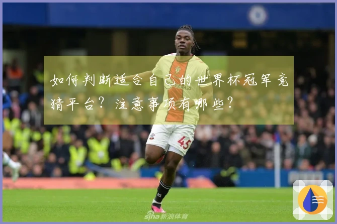 如何判断适合自己的世界杯冠军竞猜平台？注意事项有哪些？