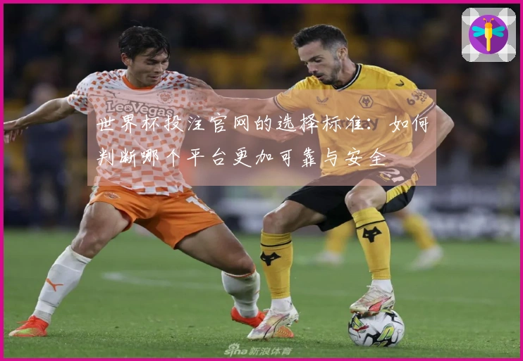 世界杯投注官网的选择标准：如何判断哪个平台更加可靠与安全