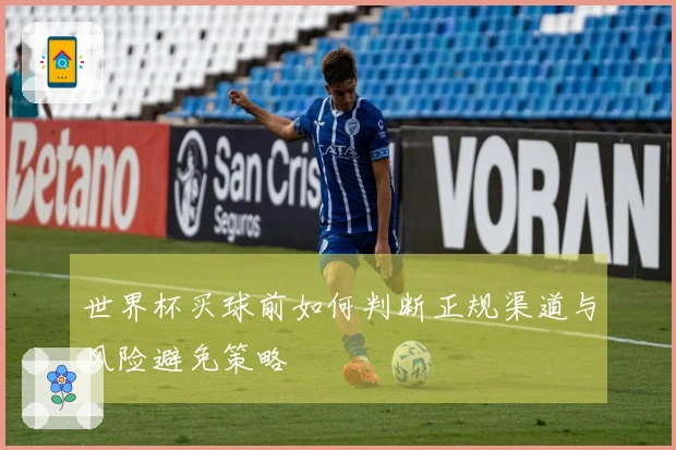 世界杯买球前如何判断正规渠道与风险避免策略