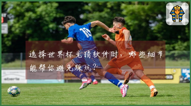 选择世界杯竞猜软件时，哪些细节能帮你避免踩坑？
