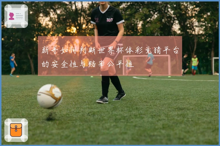 新手如何判断世界杯体彩竞猜平台的安全性与赔率公平性