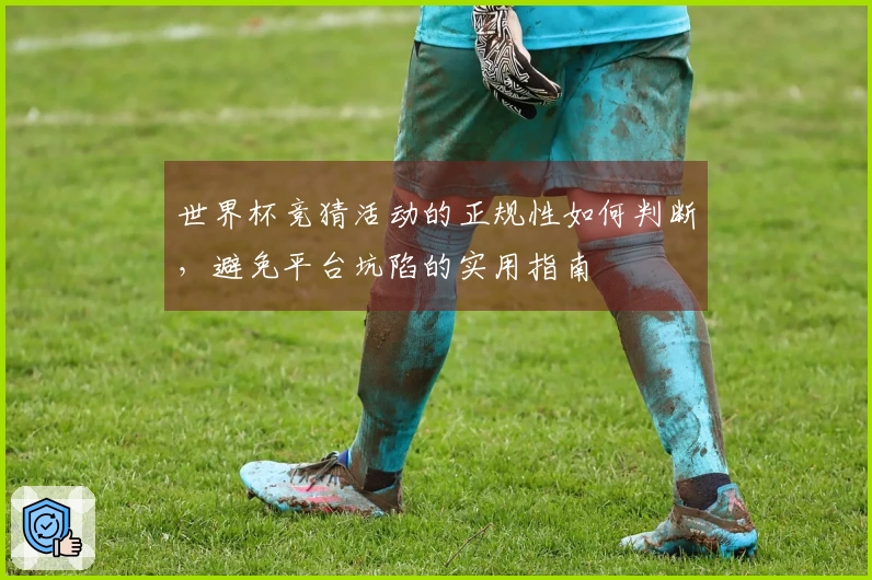 世界杯竞猜活动的正规性如何判断，避免平台坑陷的实用指南