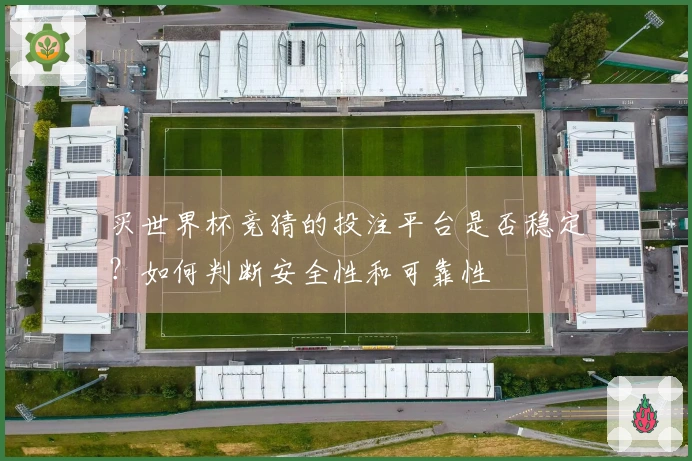 买世界杯竞猜的投注平台是否稳定？如何判断安全性和可靠性