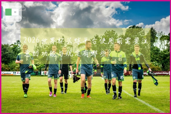 2026世界杯买球平台使用前需要注意的功能与规定有哪些？