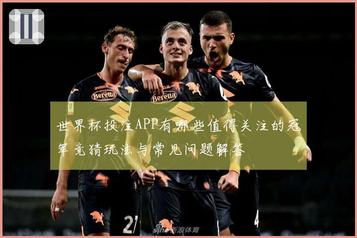 世界杯投注APP有哪些值得关注的冠军竞猜玩法与常见问题解答