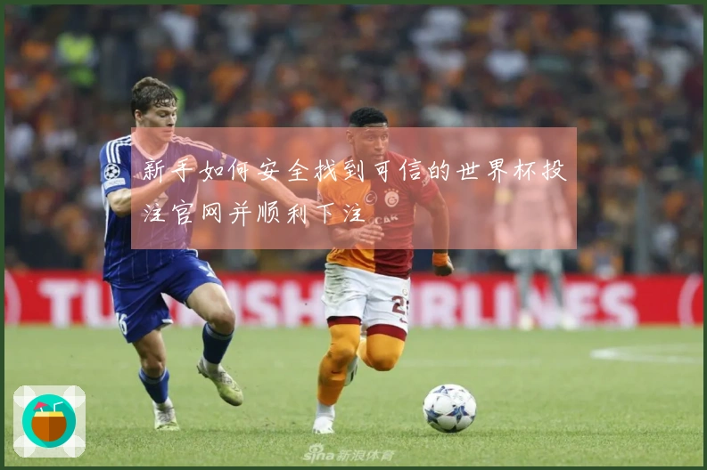 新手如何安全找到可信的世界杯投注官网并顺利下注