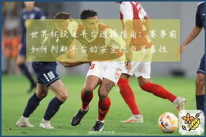 世界杯投注平台选择指南：赛事前如何判断平台的安全性与可靠性