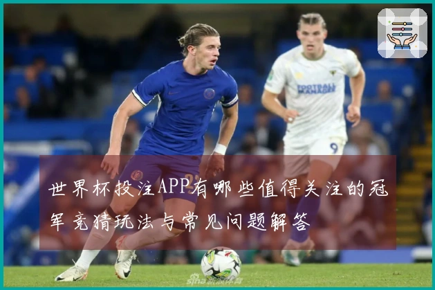 世界杯投注APP有哪些值得关注的冠军竞猜玩法与常见问题解答