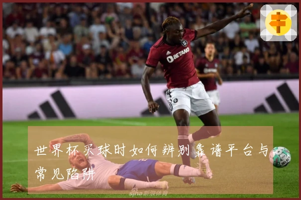 世界杯买球时如何辨别靠谱平台与常见陷阱