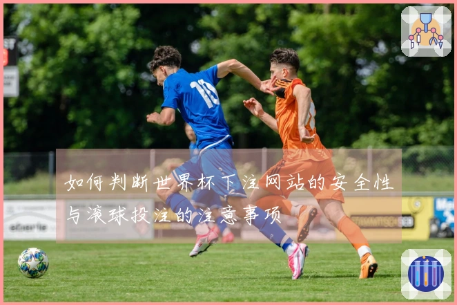 如何判断世界杯下注网站的安全性与滚球投注的注意事项