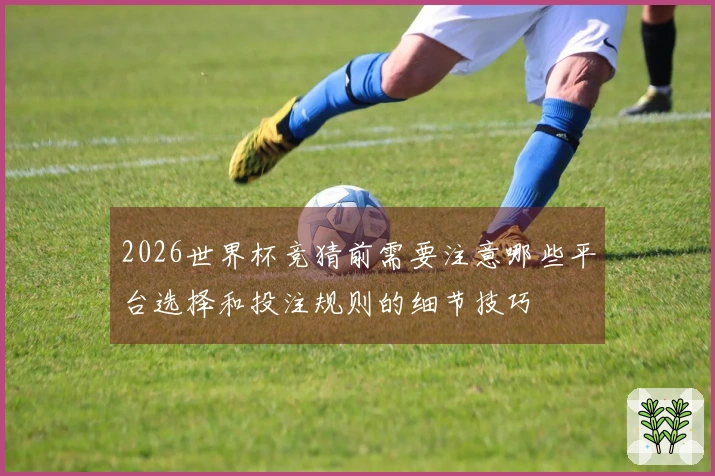 2026世界杯竞猜前需要注意哪些平台选择和投注规则的细节技巧