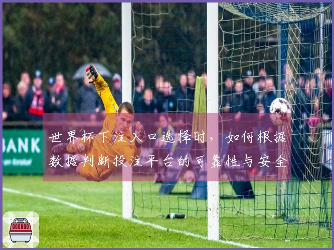 世界杯下注入口选择时，如何根据数据判断投注平台的可靠性与安全性？