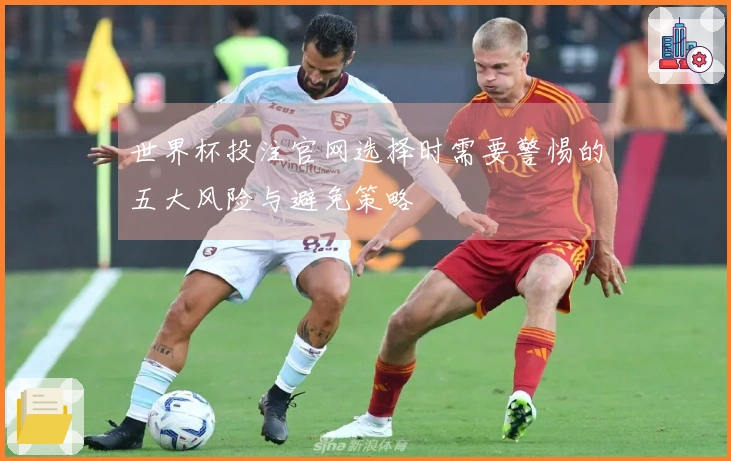 世界杯投注官网选择时需要警惕的五大风险与避免策略