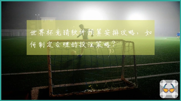 世界杯竞猜软件预算安排攻略，如何制定合理的投注策略？