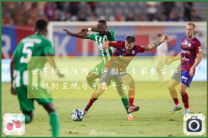 世界杯投注网站评测：专家教你如何识别正规与可靠平台