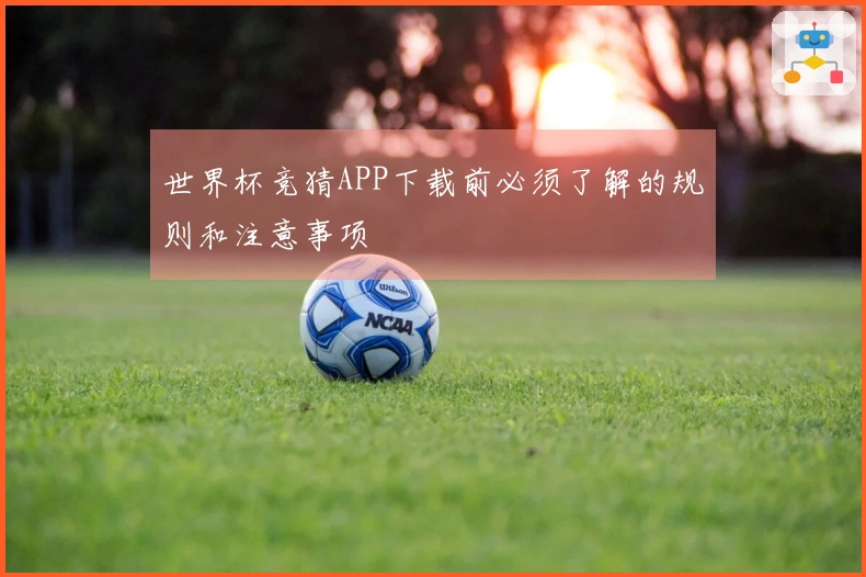 世界杯竞猜APP下载前必须了解的规则和注意事项