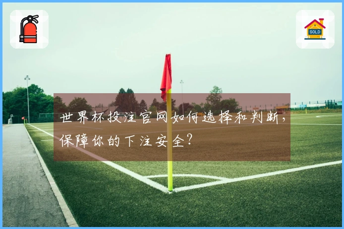 世界杯投注官网如何选择和判断，保障你的下注安全？
