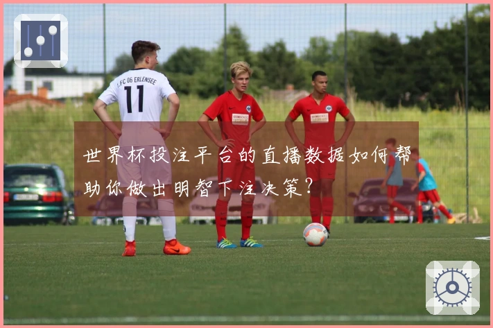 世界杯投注平台的直播数据如何帮助你做出明智下注决策？
