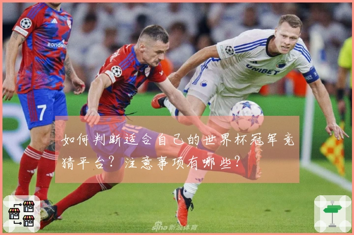如何判断适合自己的世界杯冠军竞猜平台？注意事项有哪些？