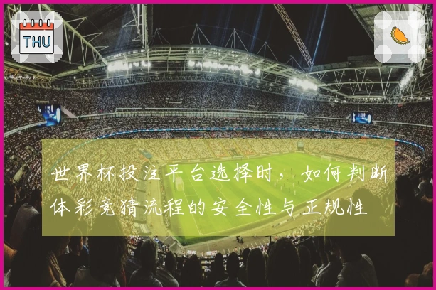 世界杯投注平台选择时，如何判断体彩竞猜流程的安全性与正规性