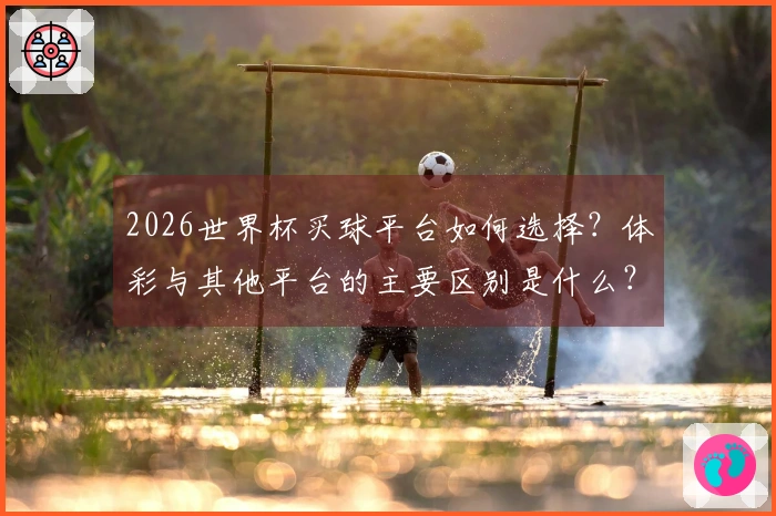 2026世界杯买球平台如何选择？体彩与其他平台的主要区别是什么？