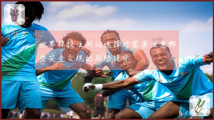 世界杯投注网站选择时需要注意哪些安全合规的风险提示