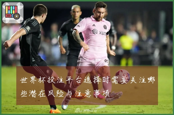 世界杯投注平台选择时需要关注哪些潜在风险与注意事项