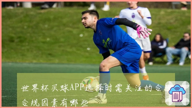世界杯买球APP选择时需关注的合法合规因素有哪些