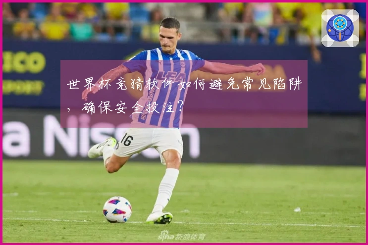 世界杯竞猜软件如何避免常见陷阱，确保安全投注？